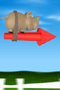 Kiaulė ant raketos