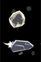 Asteroido kalnakasys