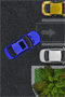 Automobilio statymas
