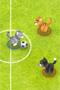 Naminių gyvūnėlių futbolas